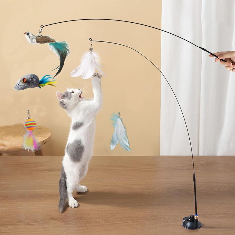 8 Best Suction Cup Cat Toys in 2025