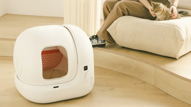 8 Best Automatic Litter Boxes in 2025