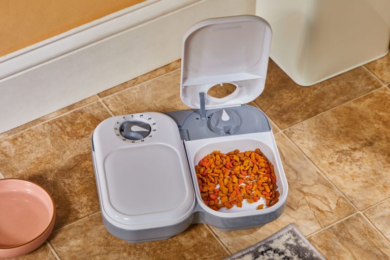 8 Best Budget Cat Feeders in 2025