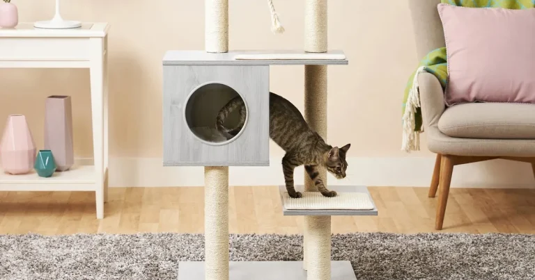 8 Best Cat Condos for Apartments in 2025