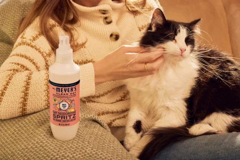 8 Best Cat Deodorizing Sprays in 2025
