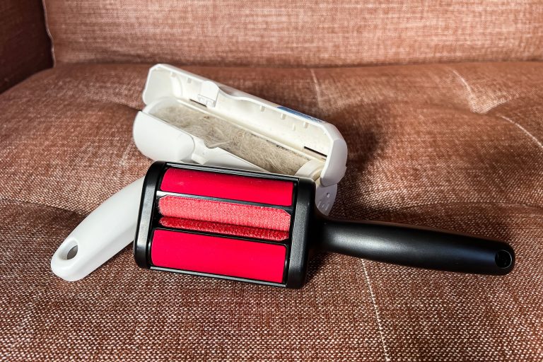 8 Best Cat Hair Removal Tools in 2025
