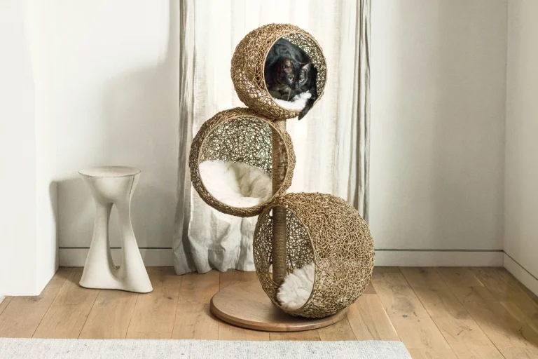 8 Best Cat Trees for Large Cats in 2025