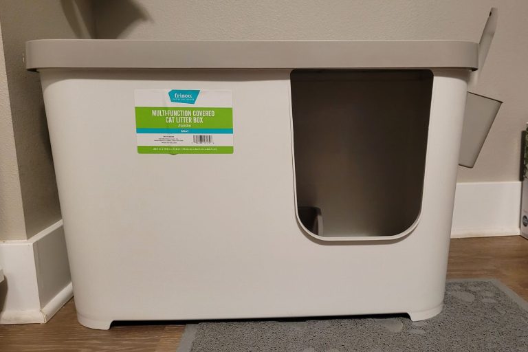 8 Best Covered Litter Boxes in 2025