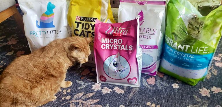 8 Best Crystal Cat Litter in 2025