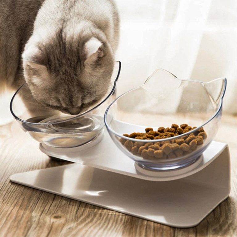 8 Best Double Cat Bowls in 2025