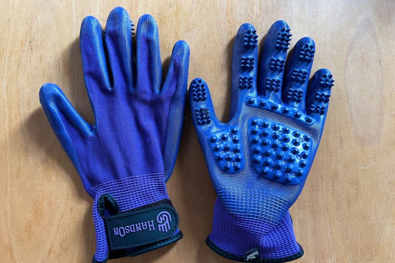 8 Best Grooming Gloves for Cats in 2025