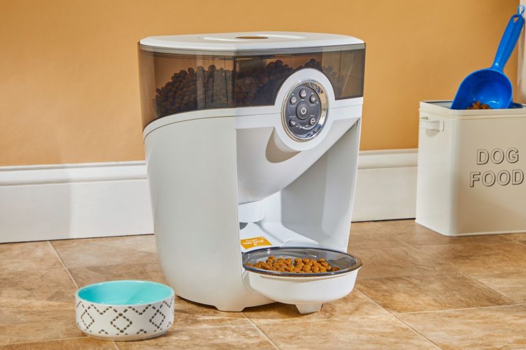 8 Best Large Capacity Cat Feeders in 2025