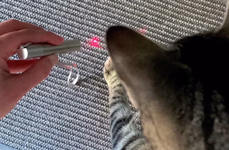 8 Best Laser Toys for Cats in 2025