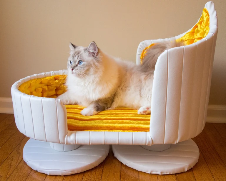 8 Best Luxury Cat Beds in 2025
