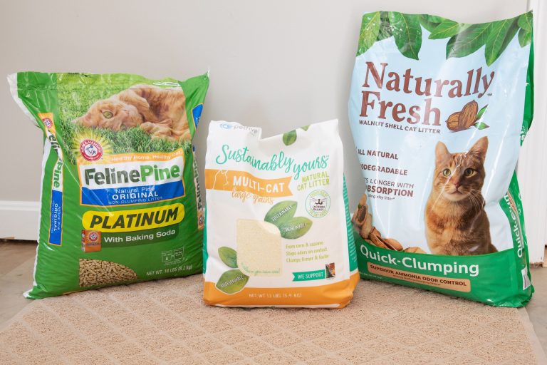 8 Best Natural Cat Litter in 2025