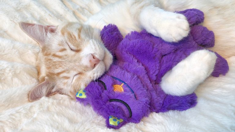 8 Best Plush Toys for Cats in 2025