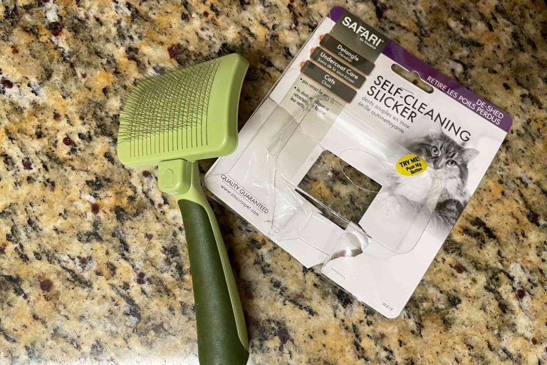 8 Best Slicker Brushes for Cats in 2025