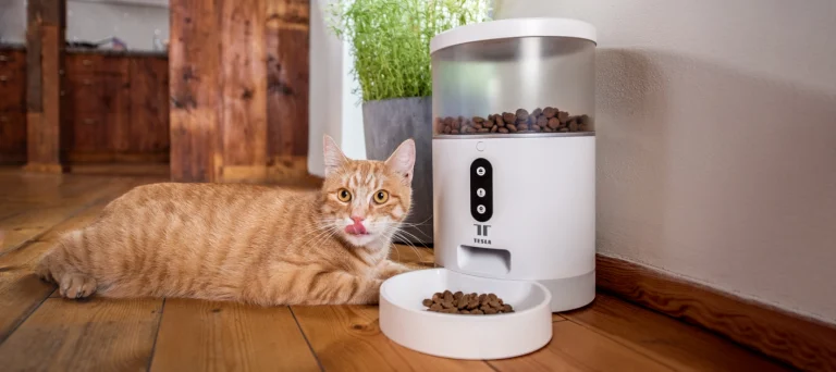 8 Best Smart Cat Feeders in 2025