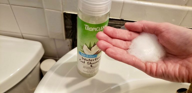 8 Best Waterless Cat Shampoos in 2025