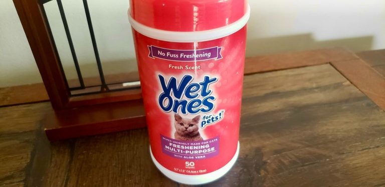 8 Best Wipes for Cats in 2025