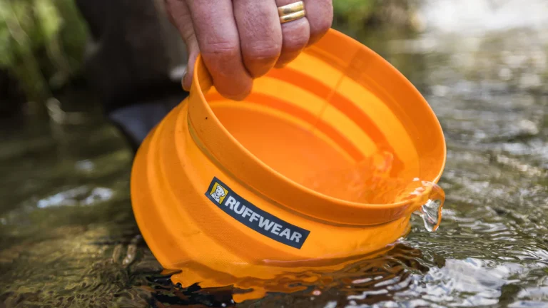 8 Best Travel Cat Bowls in 2025