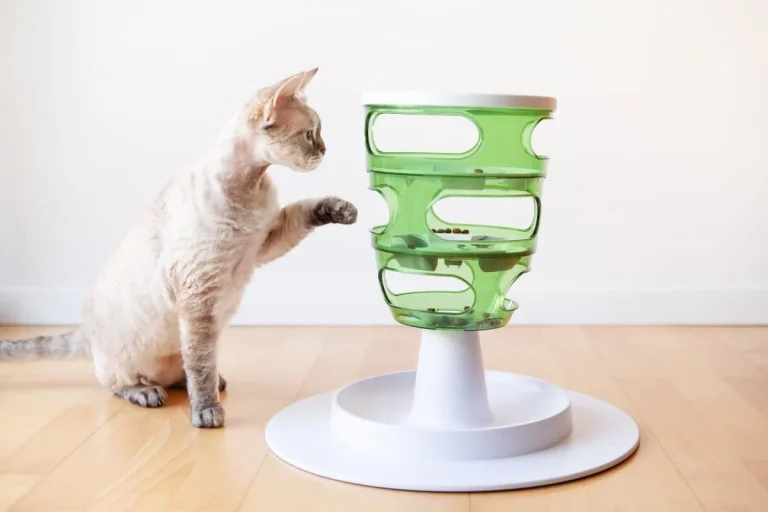 8 Best Puzzle Toys for Cats in 2025