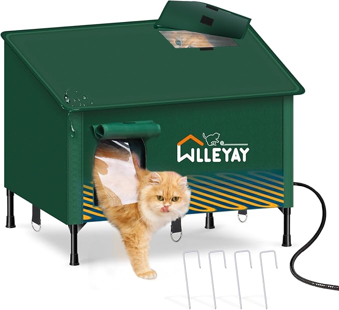 Top Cat Essentials for Comfort, Safety & Daily Care